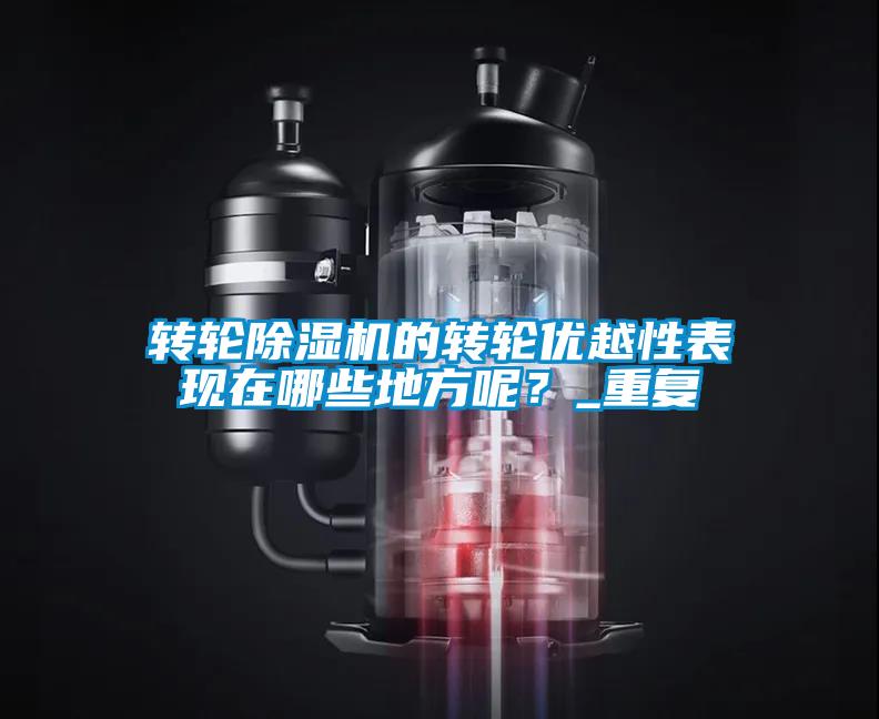 轉輪除濕機的轉輪優(yōu)越性表現在哪些地方呢？_重復