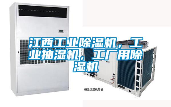 江西工業(yè)除濕機，工業(yè)抽濕機，工廠(chǎng)用除濕機