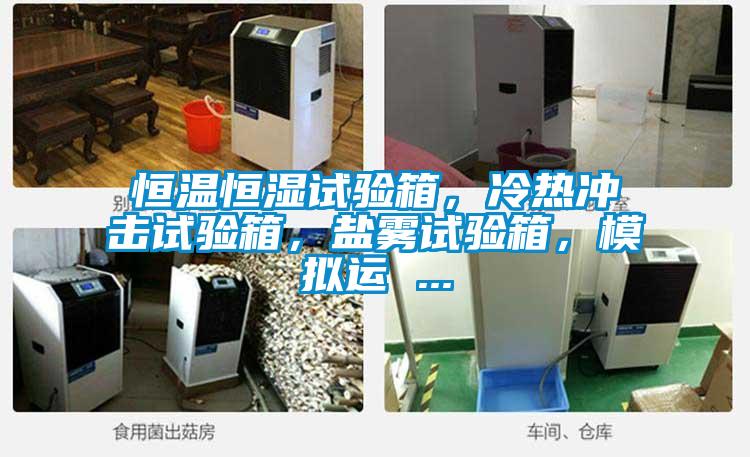 恒溫恒濕試驗箱，冷熱沖擊試驗箱，鹽霧試驗箱，模擬運 ...