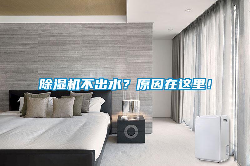 除濕機不出水？原因在這里！