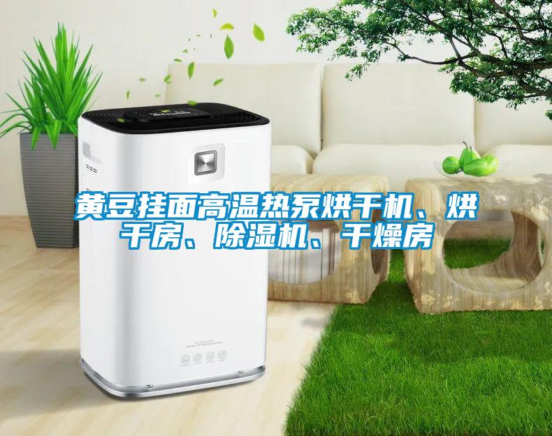 黃豆掛面高溫熱泵烘干機、烘干房、除濕機、干燥房