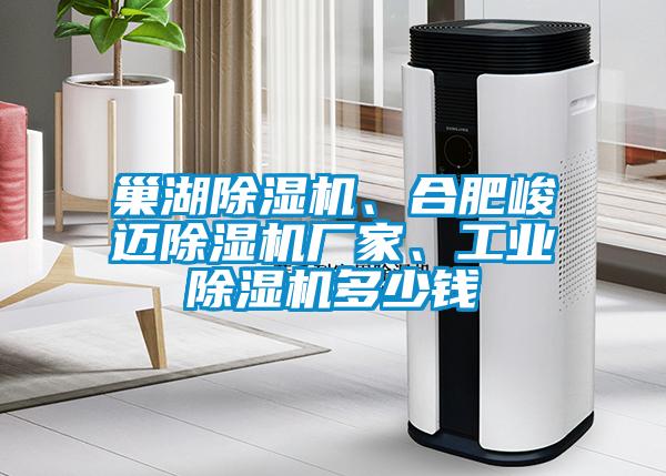 巢湖除濕機、合肥峻邁除濕機廠(chǎng)家、工業(yè)除濕機多少錢(qián)