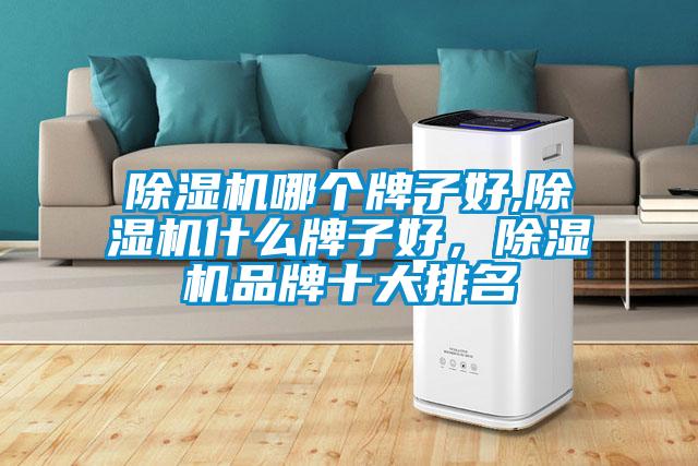 除濕機哪個(gè)牌子好,除濕機什么牌子好，除濕機品牌十大排名