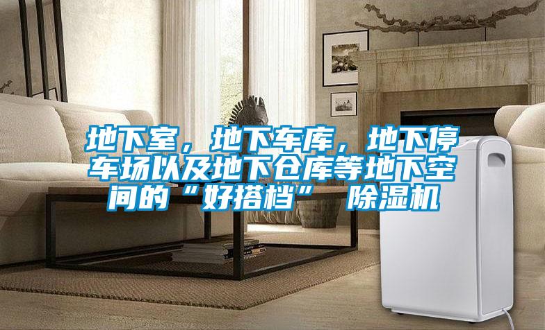 地下室，地下車(chē)庫，地下停車(chē)場(chǎng)以及地下倉庫等地下空間的“好搭檔” 除濕機