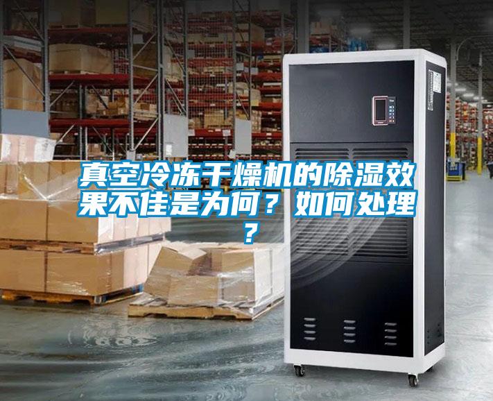真空冷凍干燥機的除濕效果不佳是為何？如何處理？
