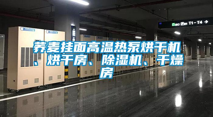 蕎麥掛面高溫熱泵烘干機、烘干房、除濕機、干燥房