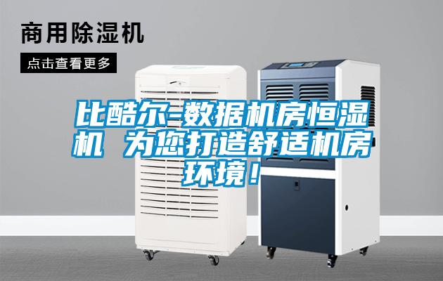 比酷爾-數據機房恒濕機 為您打造舒適機房環(huán)境！