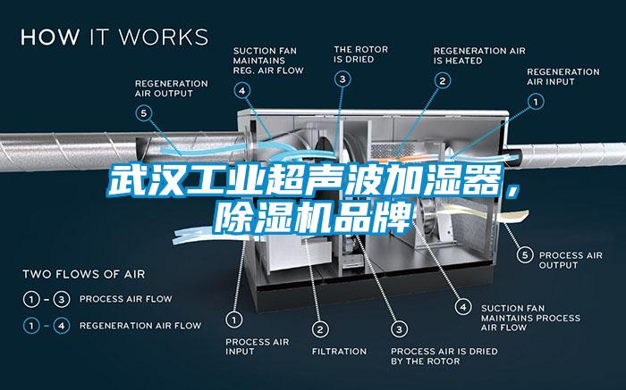 武漢工業(yè)超聲波加濕器，除濕機品牌
