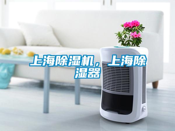上海除濕機，上海除濕器