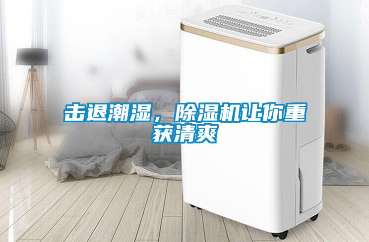 擊退潮濕，除濕機讓你重獲清爽