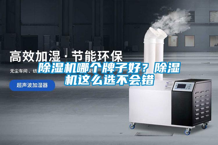 除濕機哪個(gè)牌子好？除濕機這么選不會(huì )錯