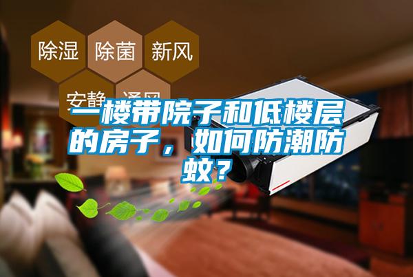 一樓帶院子和低樓層的房子，如何防潮防蚊？
