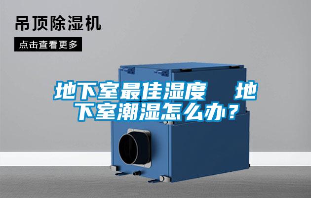 地下室最佳濕度 地下室潮濕怎么辦?