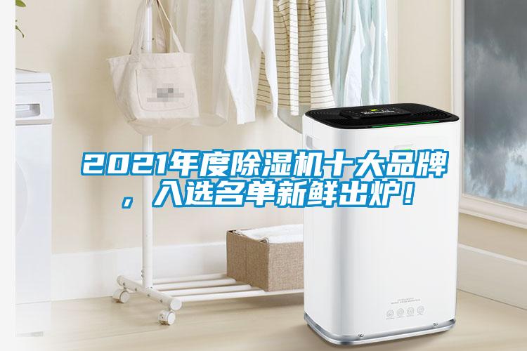 2021年度除濕機十大品牌，入選名單新鮮出爐！