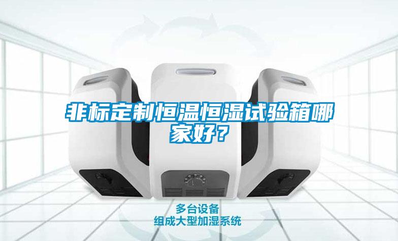 非標定制恒溫恒濕試驗箱哪家好？