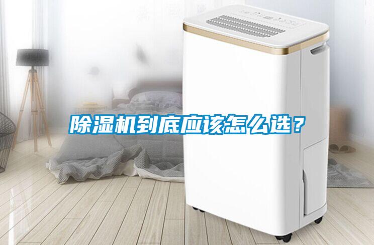 除濕機到底應該怎么選？