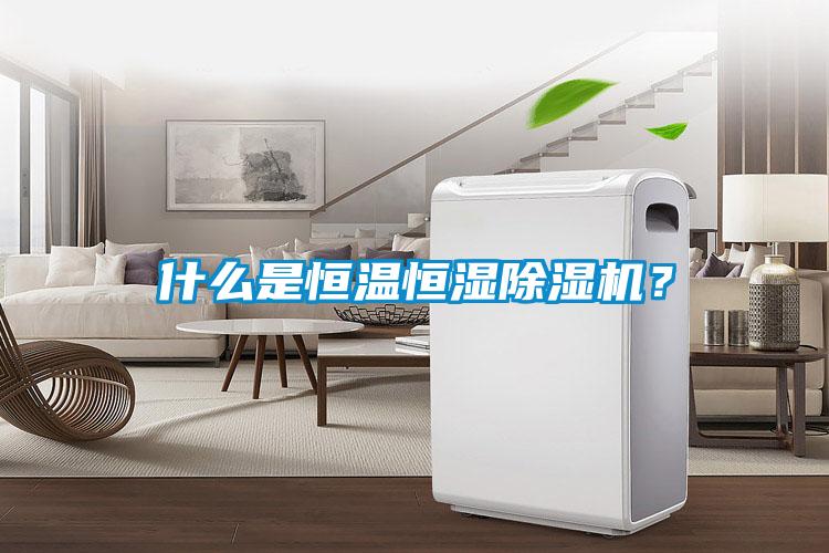 什么是恒溫恒濕除濕機？