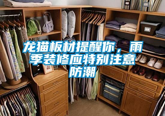 龍貓板材提醒你，雨季裝修應特別注意防潮
