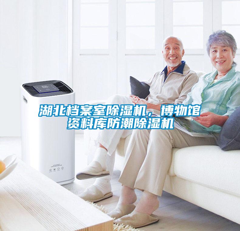 湖北檔案室除濕機，博物館資料庫防潮除濕機