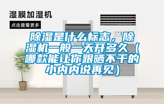 除濕是什么標志，除濕機一般一天開(kāi)多久（哪款能讓你跟曬不干的小內內說(shuō)再見(jiàn)）