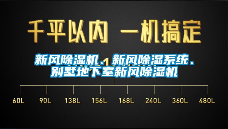 新風(fēng)除濕機、新風(fēng)除濕系統、別墅地下室新風(fēng)除濕機