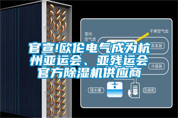 官宣!歐倫電氣成為杭州亞運會(huì )、亞殘運會(huì )官方除濕機供應商
