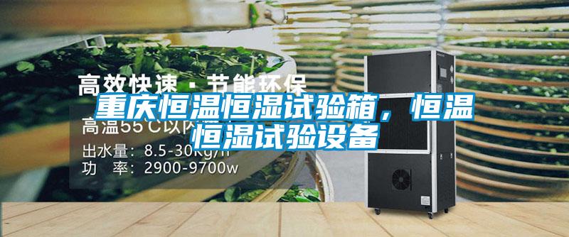 重慶恒溫恒濕試驗箱，恒溫恒濕試驗設備