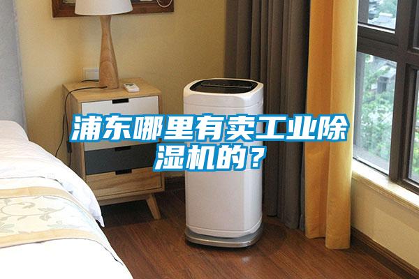 浦東哪里有賣(mài)工業(yè)除濕機的？