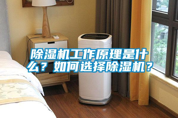 除濕機工作原理是什么？如何選擇除濕機？
