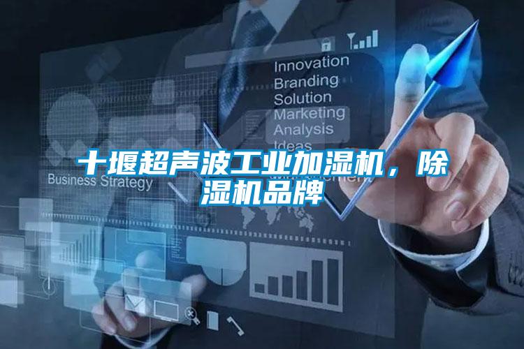 十堰超聲波工業(yè)加濕機，除濕機品牌