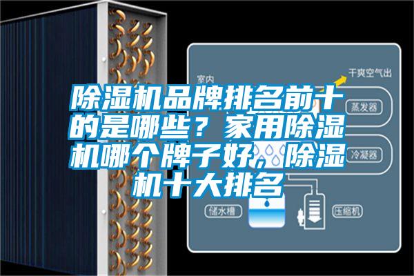 除濕機品牌排名前十的是哪些？家用除濕機哪個(gè)牌子好，除濕機十大排名