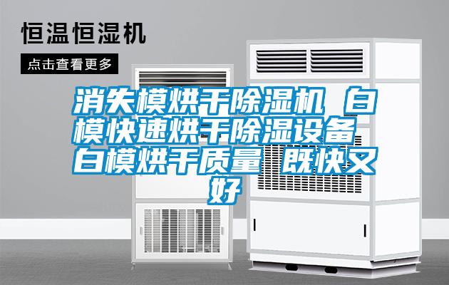 消失模烘干除濕機 白?？焖俸娓沙凉裨O備 白模烘干質(zhì)量 既快又好