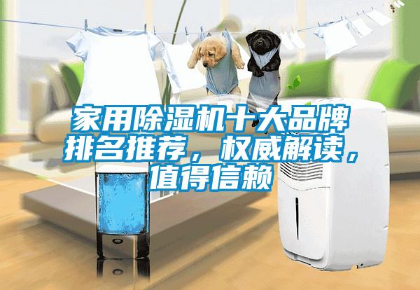 家用除濕機十大品牌排名推薦，權威解讀，值得信賴(lài)