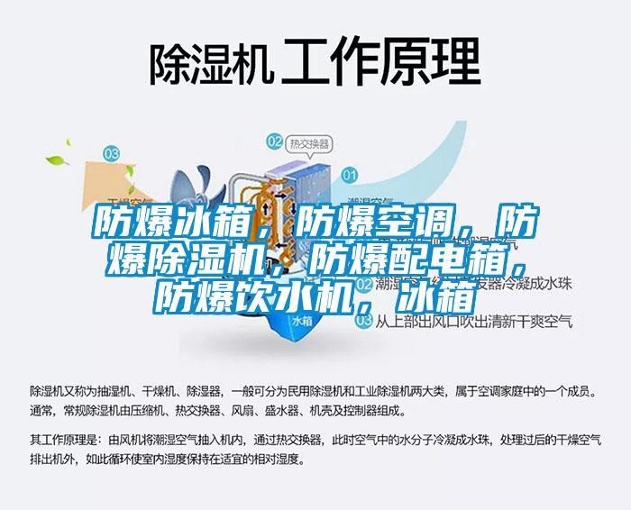 防爆冰箱，防爆空調，防爆除濕機，防爆配電箱，防爆飲水機，冰箱