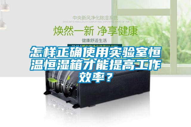 怎樣正確使用實(shí)驗室恒溫恒濕箱才能提高工作效率？