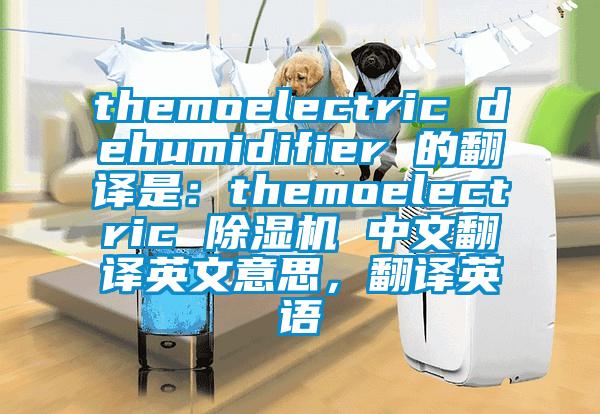 themoelectric dehumidifier 的翻譯是：themoelectric 除濕機 中文翻譯英文意思，翻譯英語(yǔ)