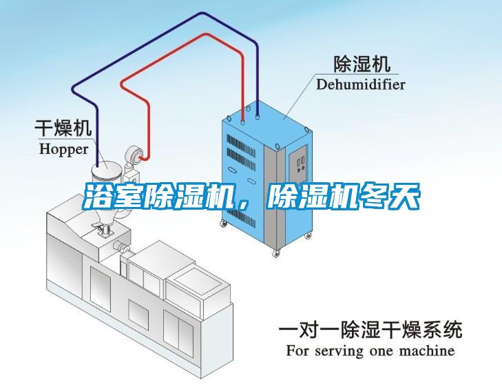 浴室除濕機，除濕機冬天