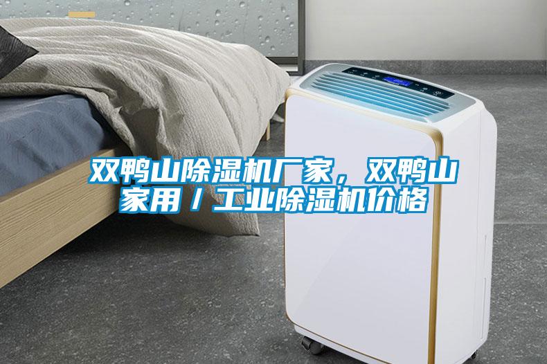 雙鴨山除濕機廠(chǎng)家，雙鴨山家用／工業(yè)除濕機價(jià)格