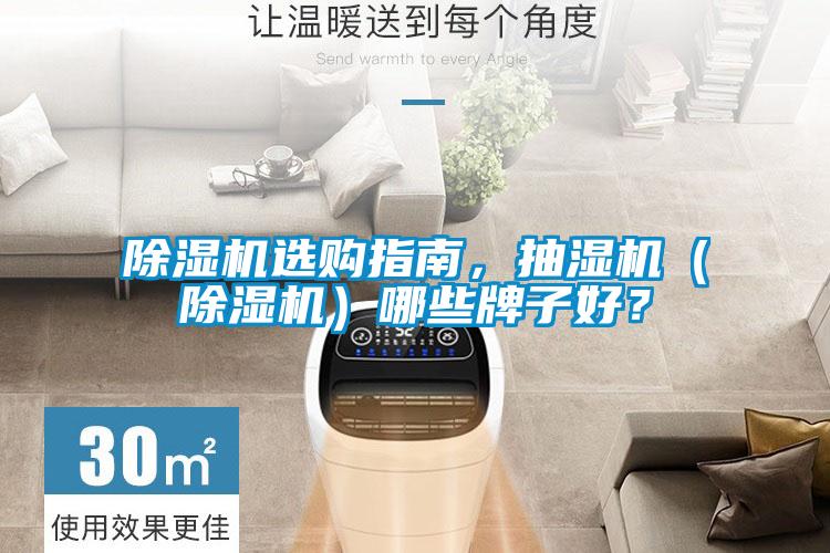 除濕機選購指南，抽濕機（除濕機）哪些牌子好？