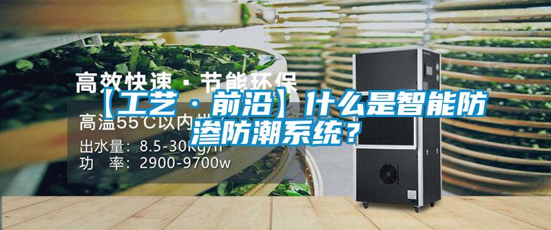 【工藝·前沿】什么是智能防滲防潮系統？