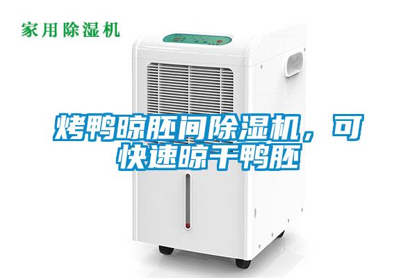 烤鴨晾胚間除濕機，可快速晾干鴨胚