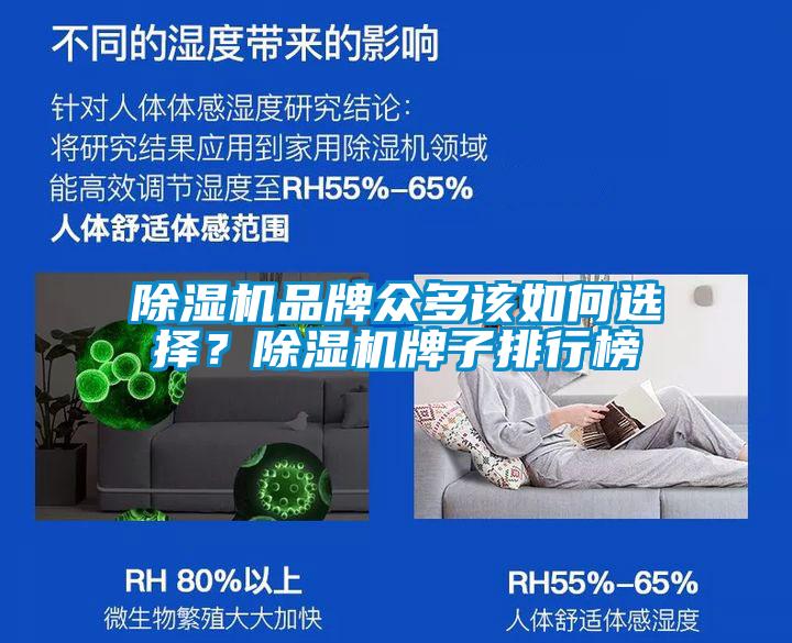 除濕機品牌眾多該如何選擇？除濕機牌子排行榜