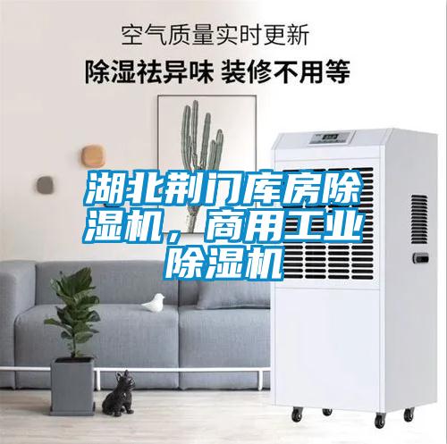 湖北荊門(mén)庫房除濕機，商用工業(yè)除濕機