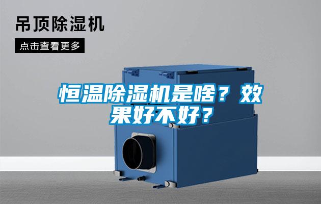恒溫除濕機是啥？效果好不好？