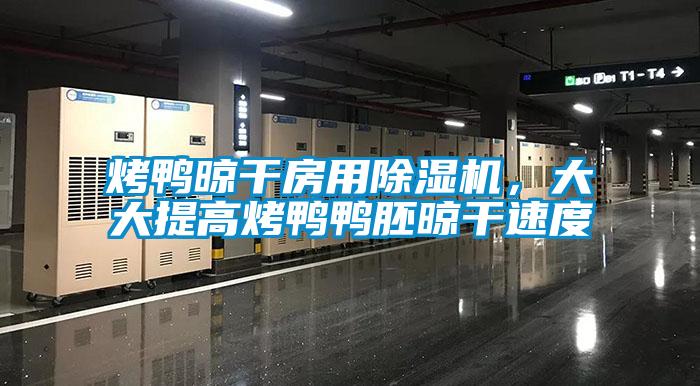 烤鴨晾干房用除濕機，大大提高烤鴨鴨胚晾干速度
