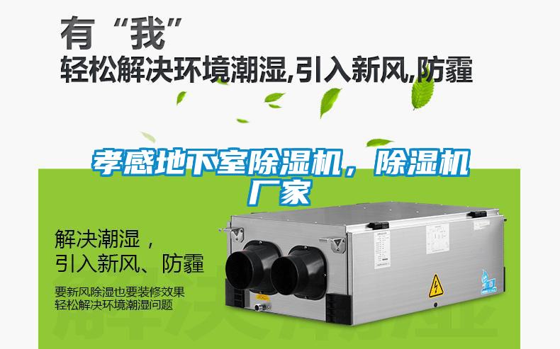 孝感地下室除濕機，除濕機廠(chǎng)家