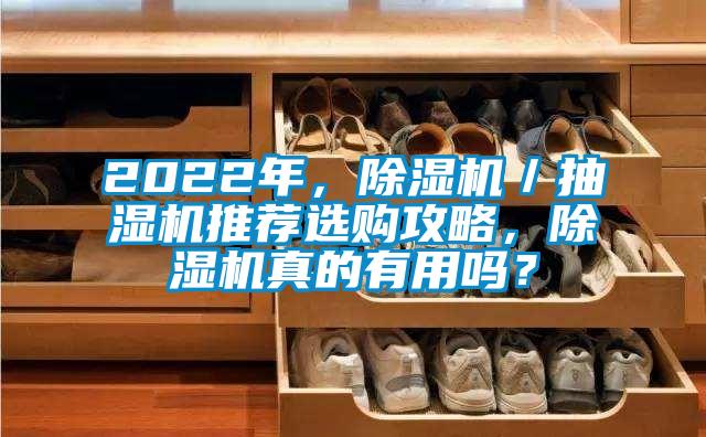 2022年，除濕機／抽濕機推薦選購攻略，除濕機真的有用嗎？