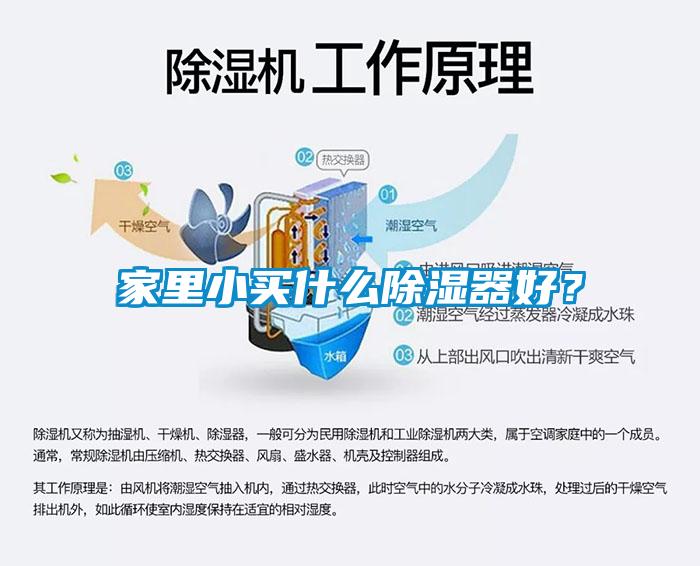 家里小買(mǎi)什么除濕器好？