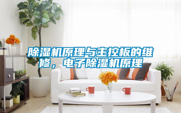 除濕機原理與主控板的維修，電子除濕機原理