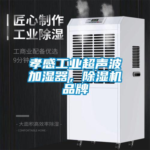 孝感工業(yè)超聲波加濕器，除濕機品牌